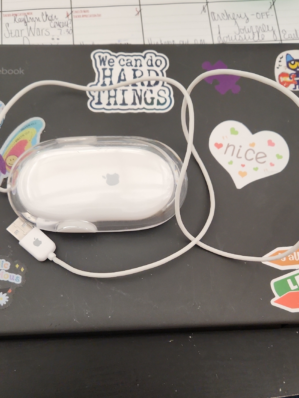 Apple Mouse M5769